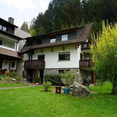 Hoellkopf - Stubenhof, Black Forest Simonswald Zewnętrze zdjęcie