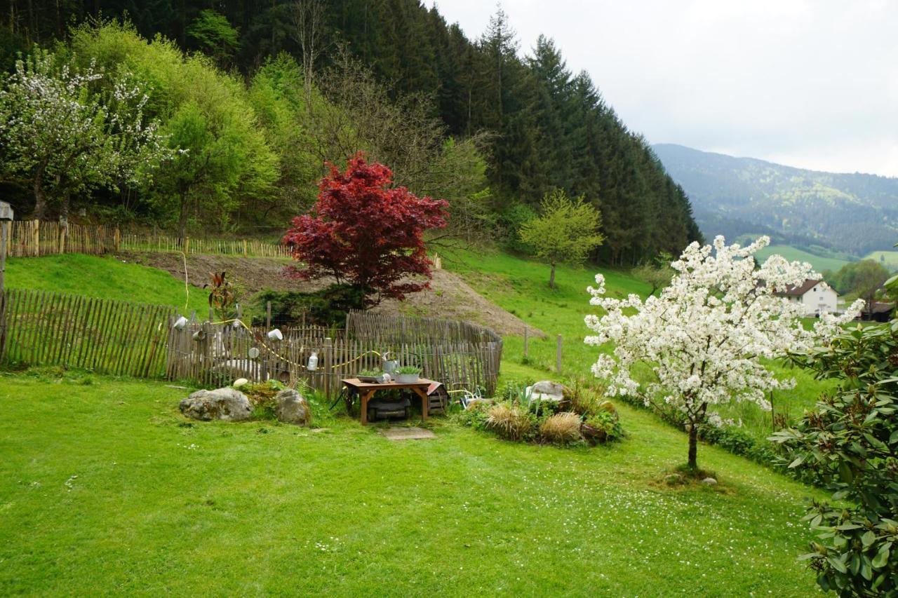 Hoellkopf - Stubenhof, Black Forest Simonswald Zewnętrze zdjęcie