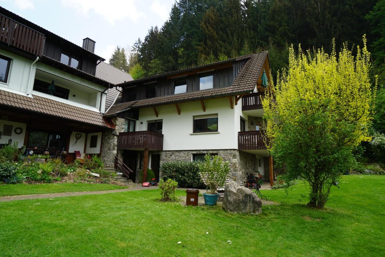 Hoellkopf - Stubenhof, Black Forest Simonswald Zewnętrze zdjęcie
